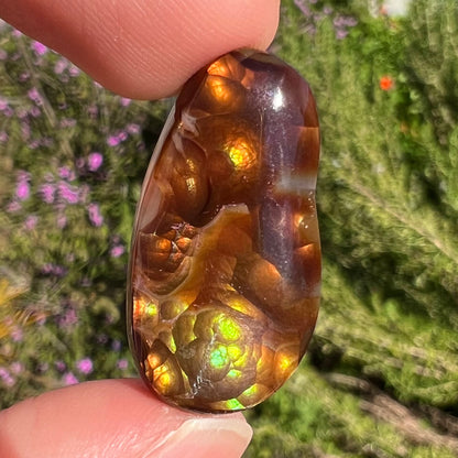 A loose fire agate cabochon.  The stone has iridescent green, yellow, and blue colors.