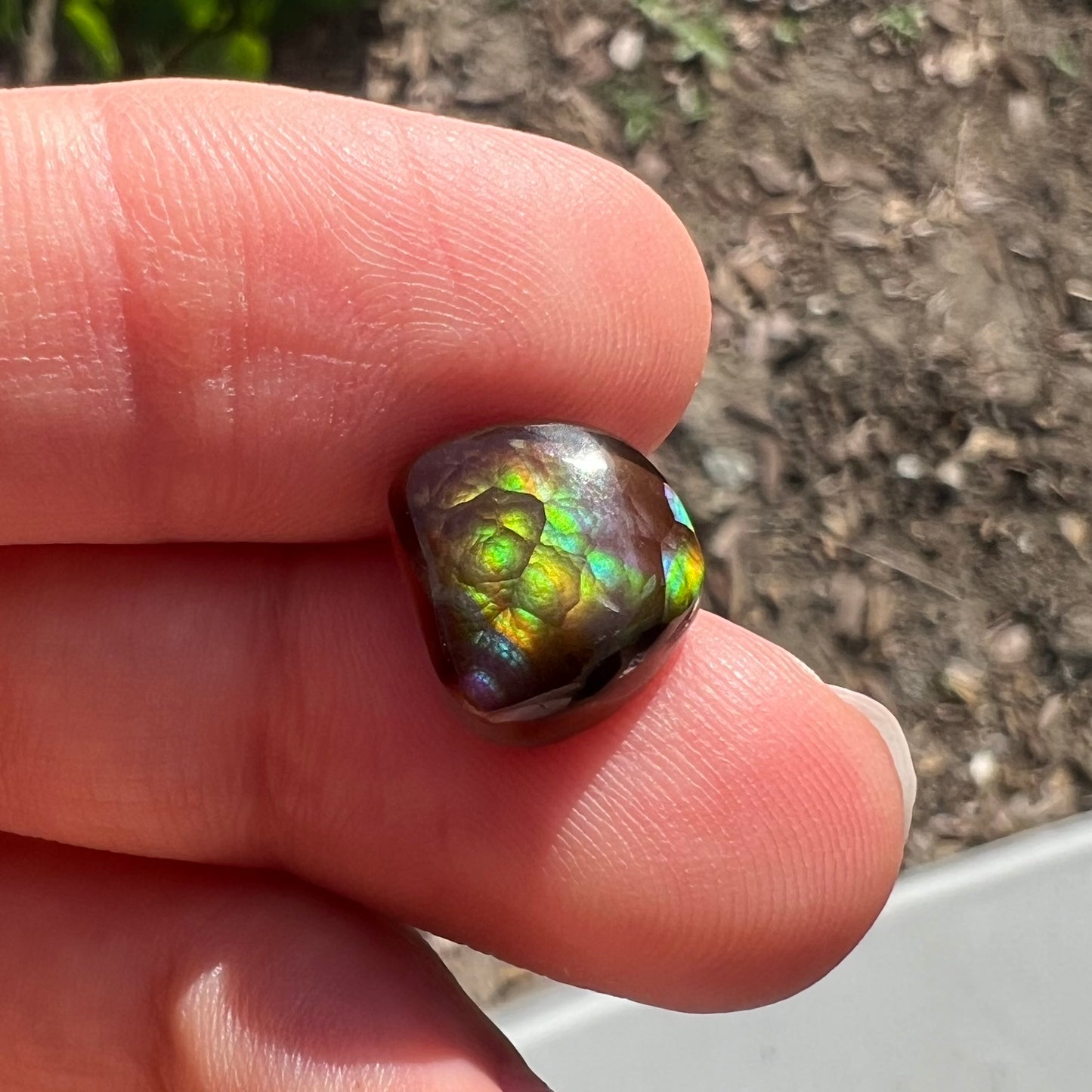 A freeform cabochon cut Mexican fire agate stone.  The stone has a bright purple flash with green, yellow, and orange.