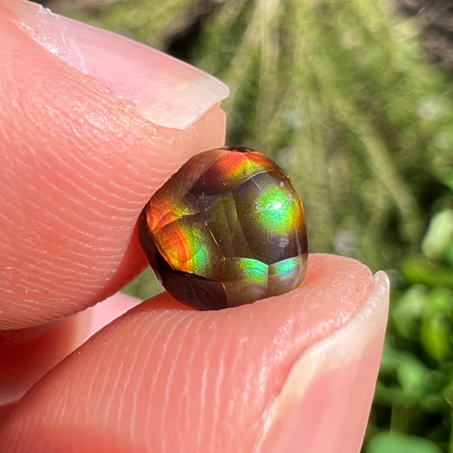 A loose, cabochon cut Mexican fire agate gemstone.  The stone is small and exceptionally bright in the sunlight.