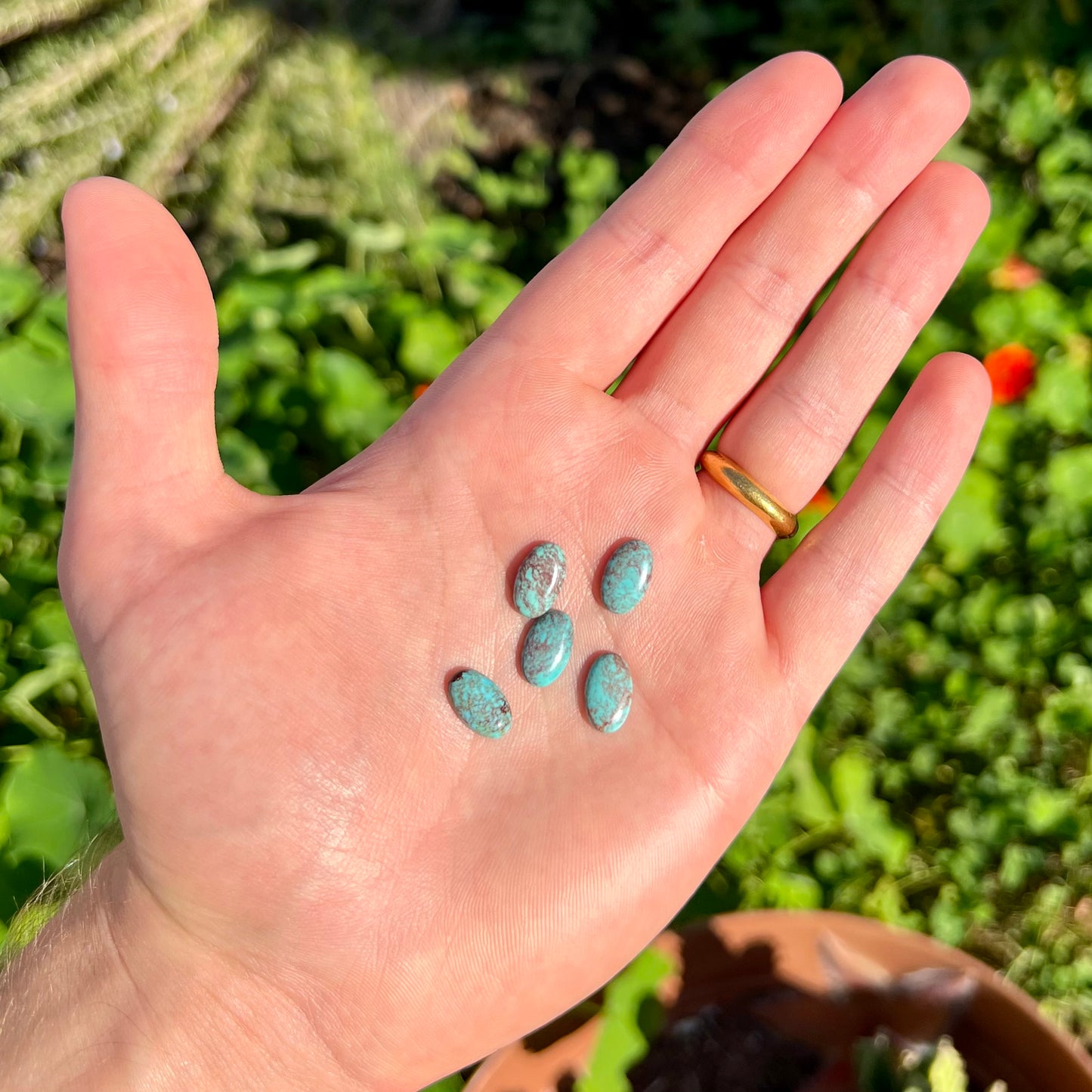 A loose lot of 5 oval cabochon cut Tyrone turquoise stones.  The stones are blue with red webbed matrix.