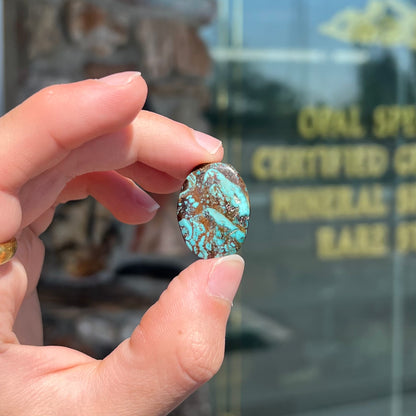 A loose, barrel cabochon cut turquoise stone from Royston District, Nevada.  The stone is greenish blue with brown and black matrix.