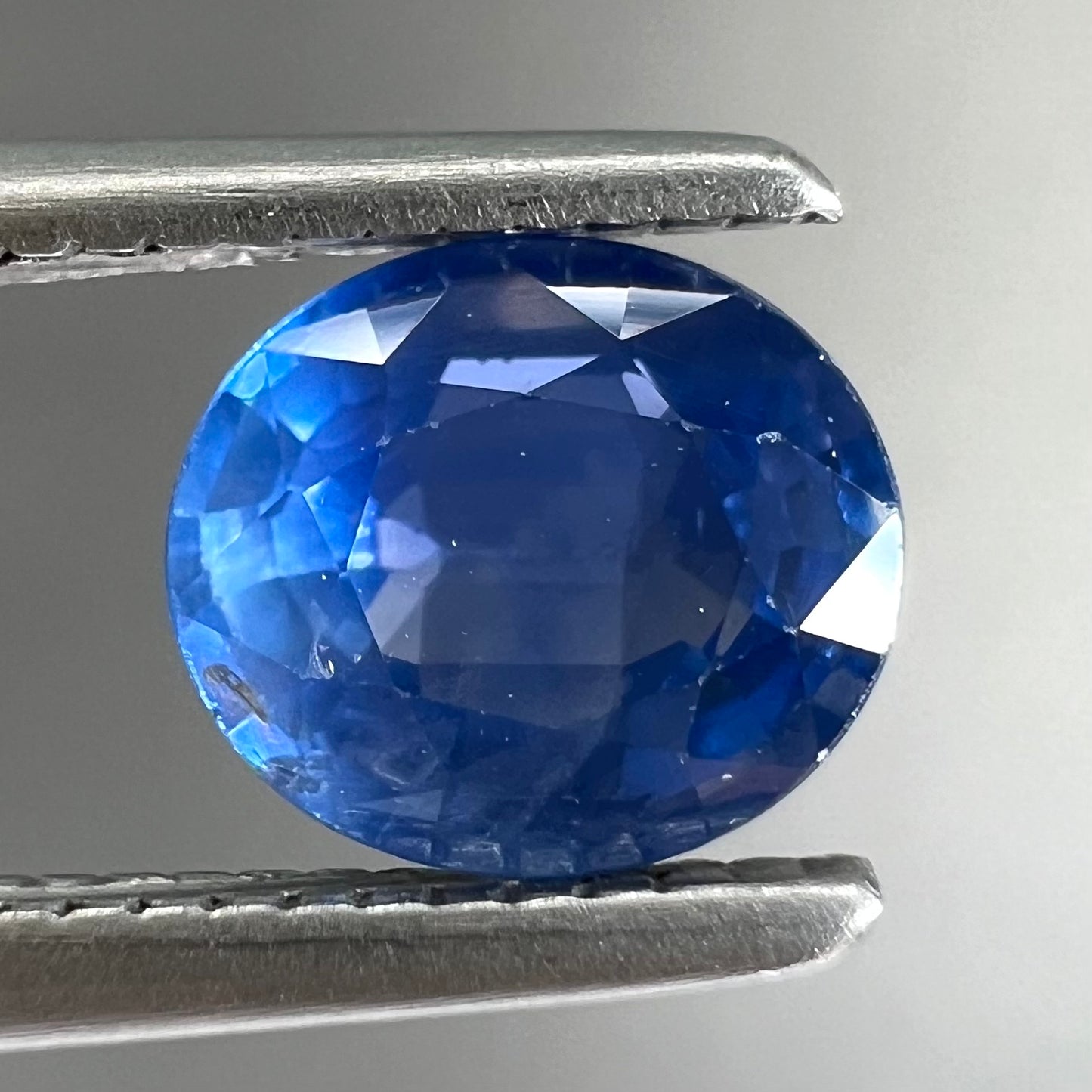 A loose, faceted oval cut natural blue sapphire.  The color is a dark cornflower blue.