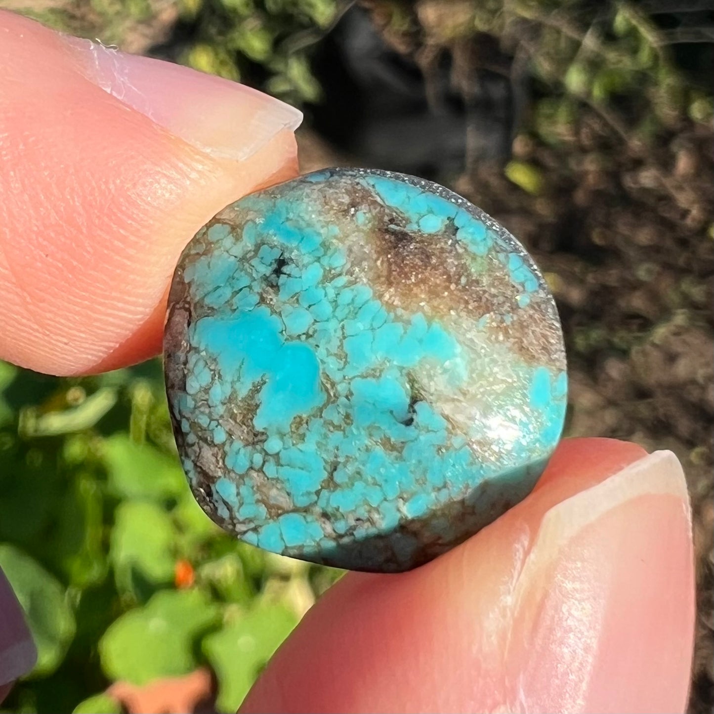 A round cabochon cut Tyrone turquoise stone from New Mexico.  The stone is blue with brown, gray, and black matrix.