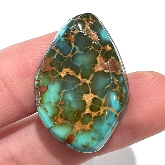 A polished golden spiderweb turquoise cabochon from Manassa, Colorado.