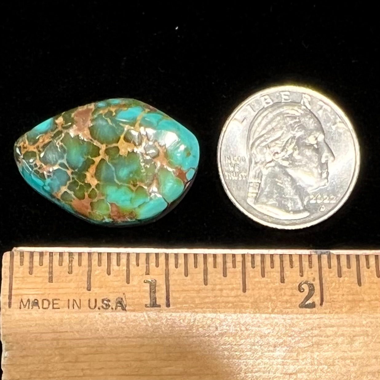 A polished golden spiderweb turquoise cabochon from Manassa, Colorado.