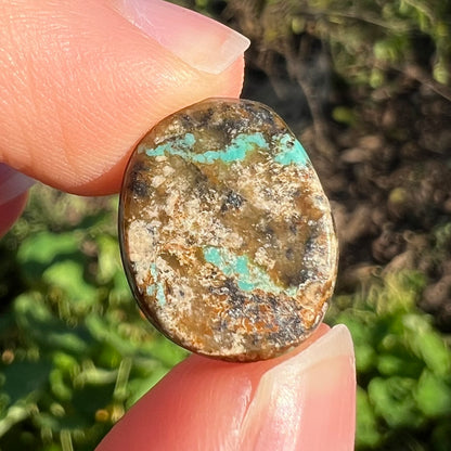 A loose, oval cabochon cut Morenci turquoise stone.
