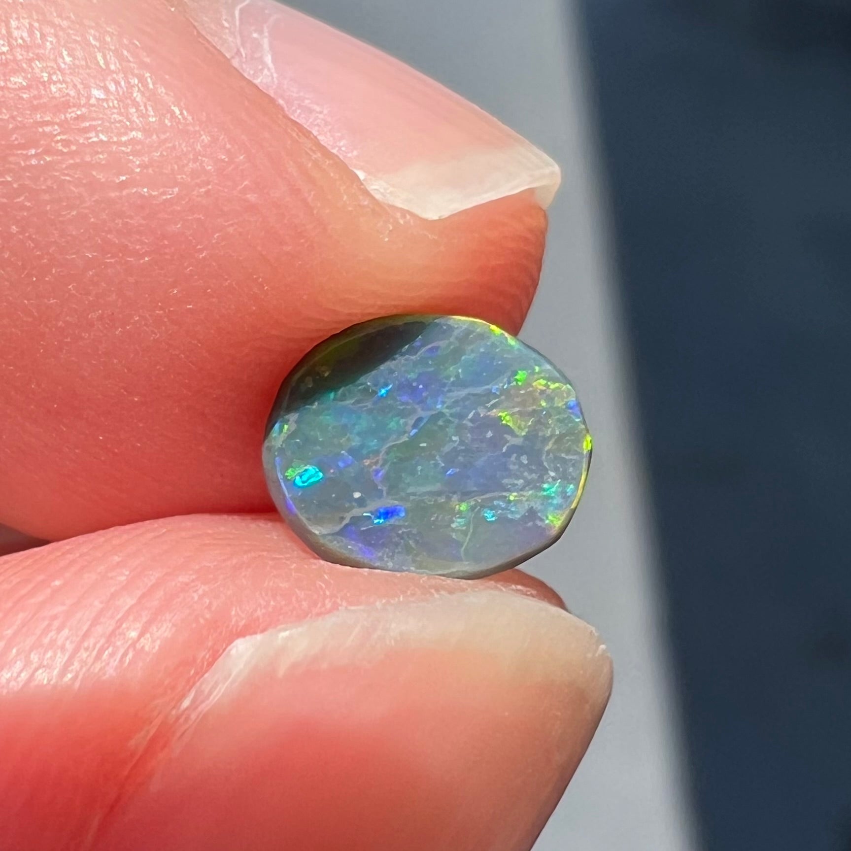 A loose oval cabochon cut black opal from Lightning Ridge, Australia.  The opal shows green and red colors.
