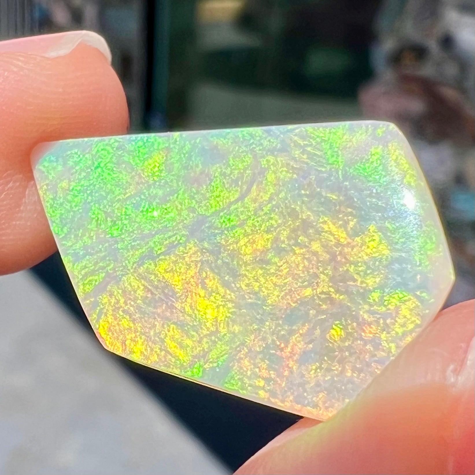 5.88ct Andamooka Light Opal Stone | Burton's – Burton's Gems
