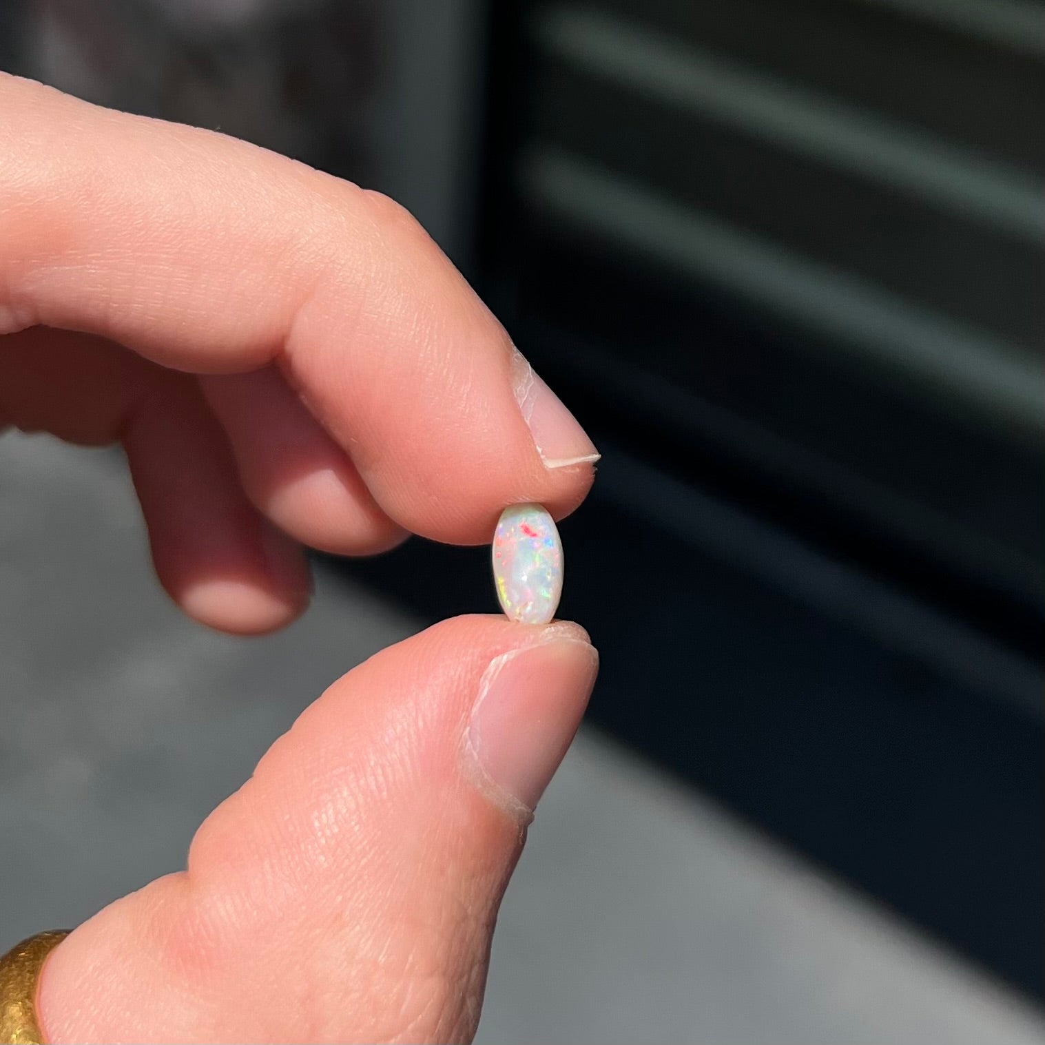 A loose, light opal from Lightning Ridge, Australia.  The opal shines a rainbow of colors.