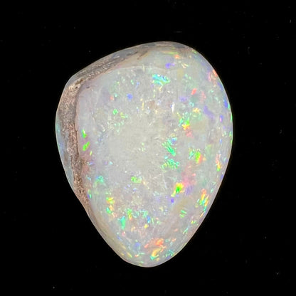 An opalized seashell fossil that displays play of color.  The full color spectrum is visible, including red, green, blue, and purple.