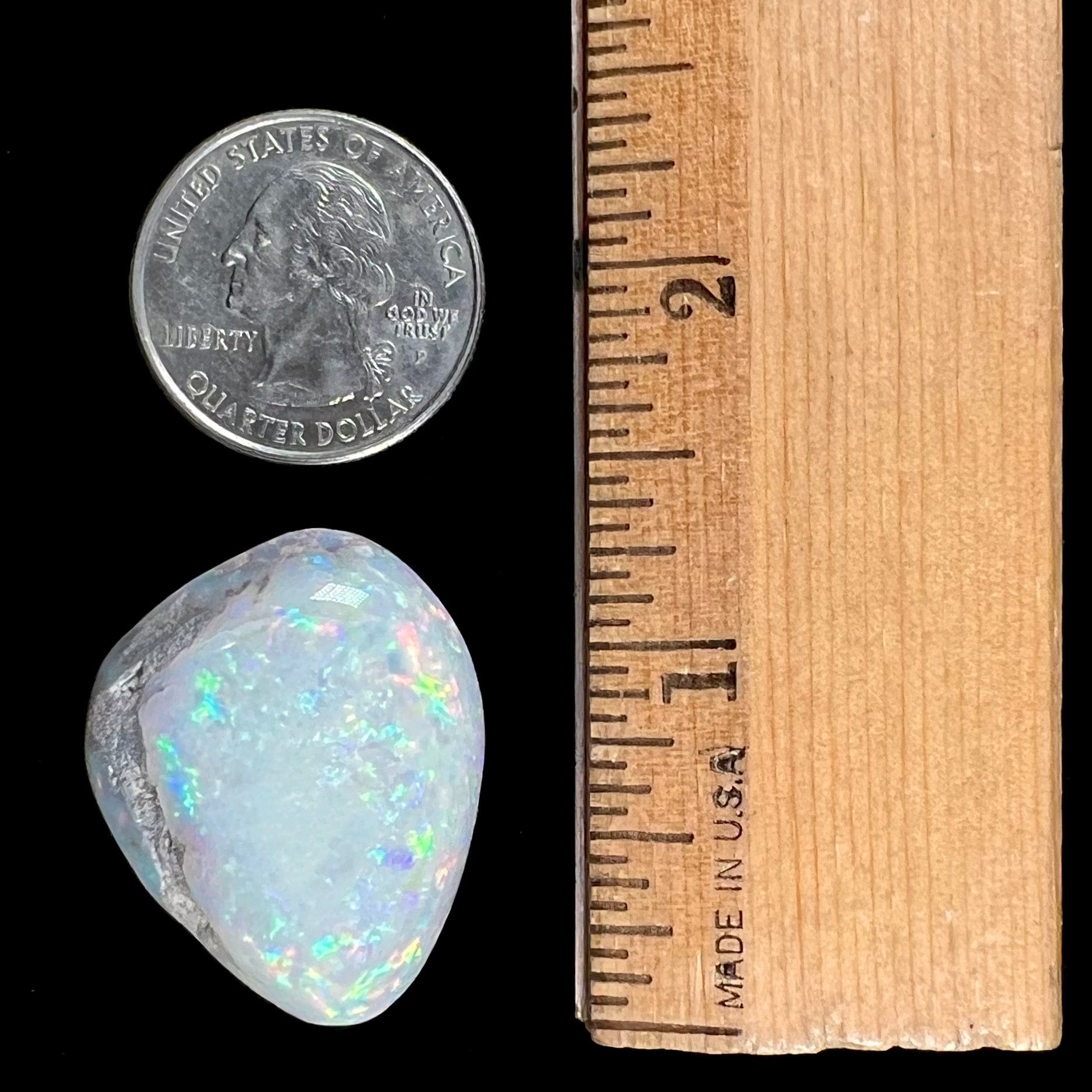 An opalized seashell fossil that displays play of color.  The full color spectrum is visible, including red, green, blue, and purple.