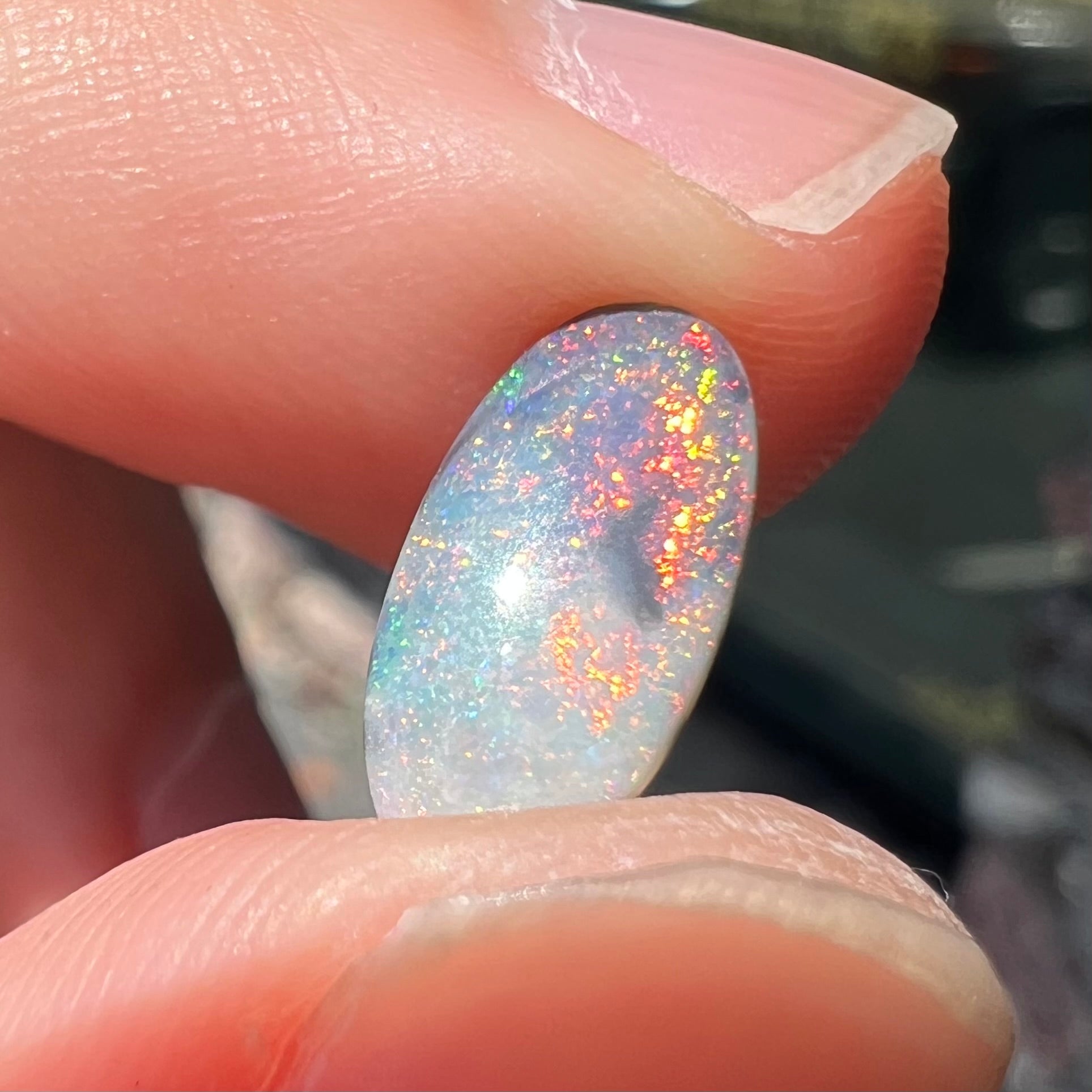 A loose, oval cabochon cut opal gemstone from Lightning Ridge, Australia.  The opal shines red and orange colors.