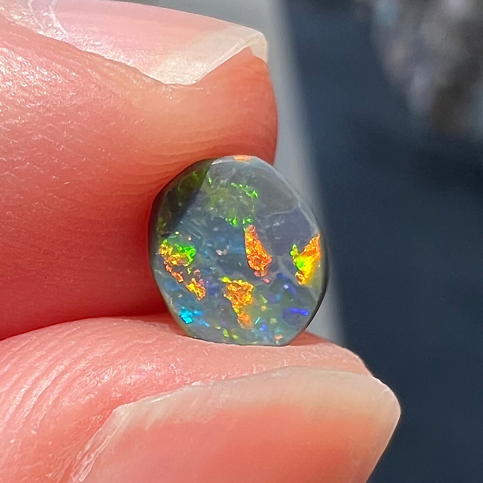 A loose oval cabochon cut black opal from Lightning Ridge, Australia.  The opal shows green and red colors.