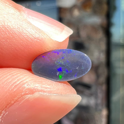 A loose, oval cabochon cut black opal stone from Lightning Ridge, Australia.  The opal has blue color play.