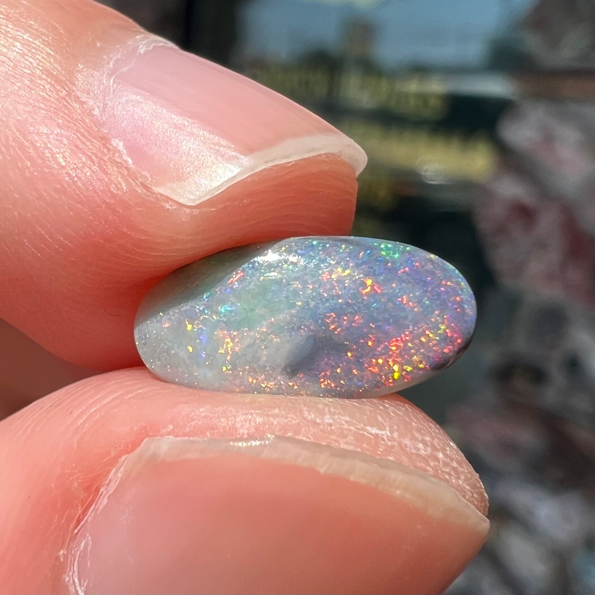 A loose, oval cabochon cut opal gemstone from Lightning Ridge, Australia.  The opal shines red and orange colors.