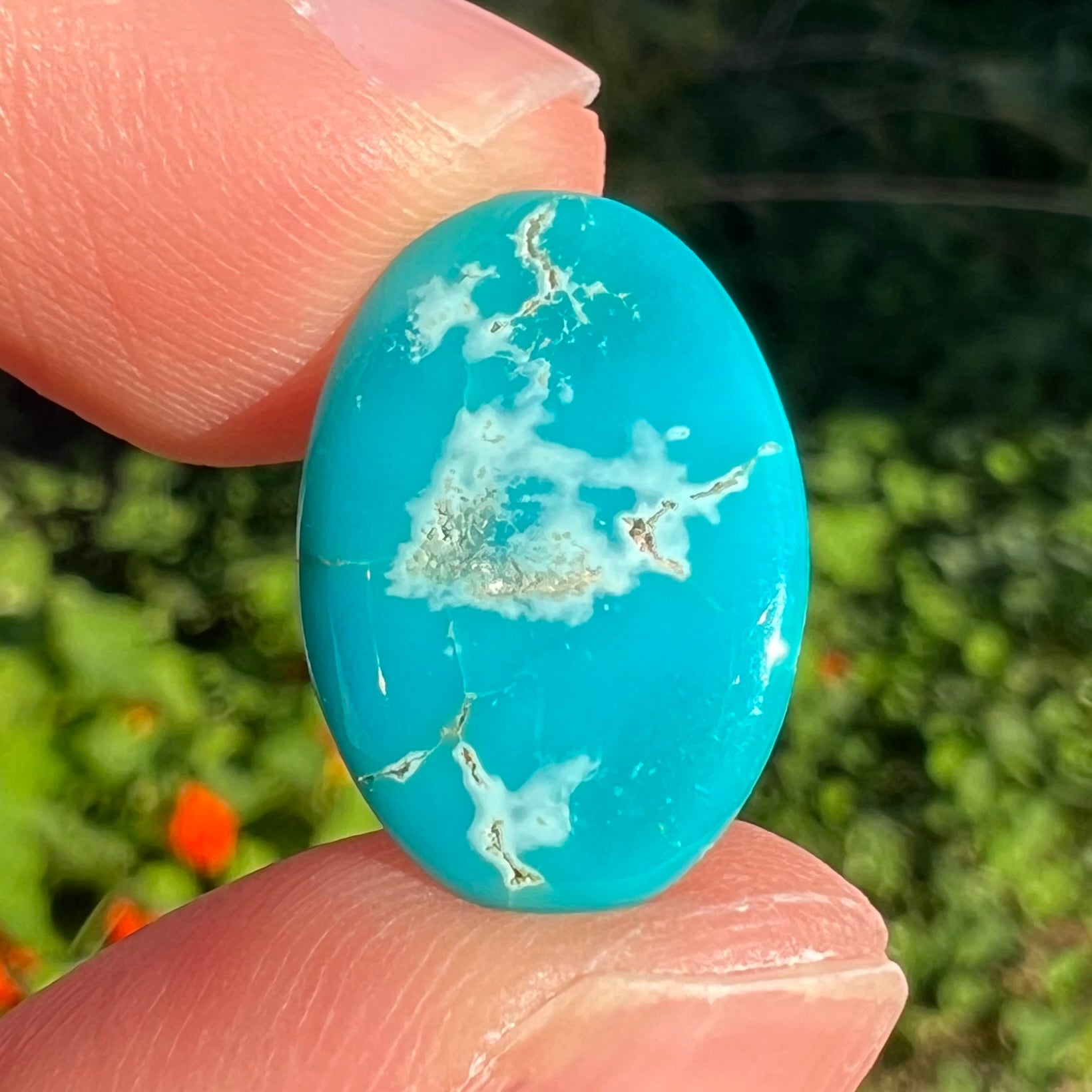 An electric blue Pilot Mountain turquosie stone from Nevada.  The turquoise is cut into an oval shaped cabochon.