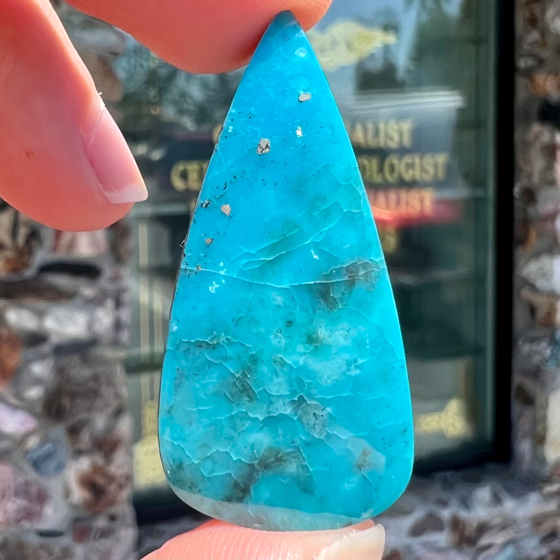 A loose, pear shaped turquoise stone from the Courtland-Gleeson mining district of Arizona.