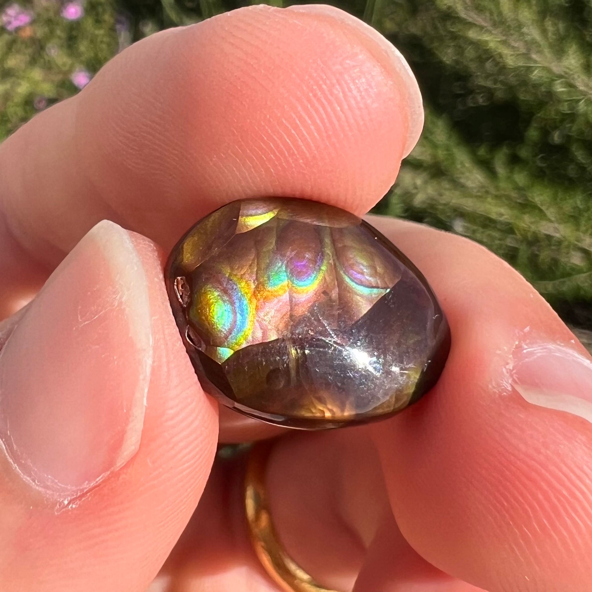 A loose, oval cabochon cut Mexican fire agate stone with pink, orange, and purple banding.
