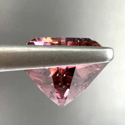 A loose, rounded trillion shield cut pink tourmaline gemstone.