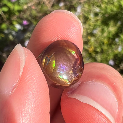 A loose, round cabochon cut Mexican fire agate gemstone.  The stone has a sagenite inclusion.