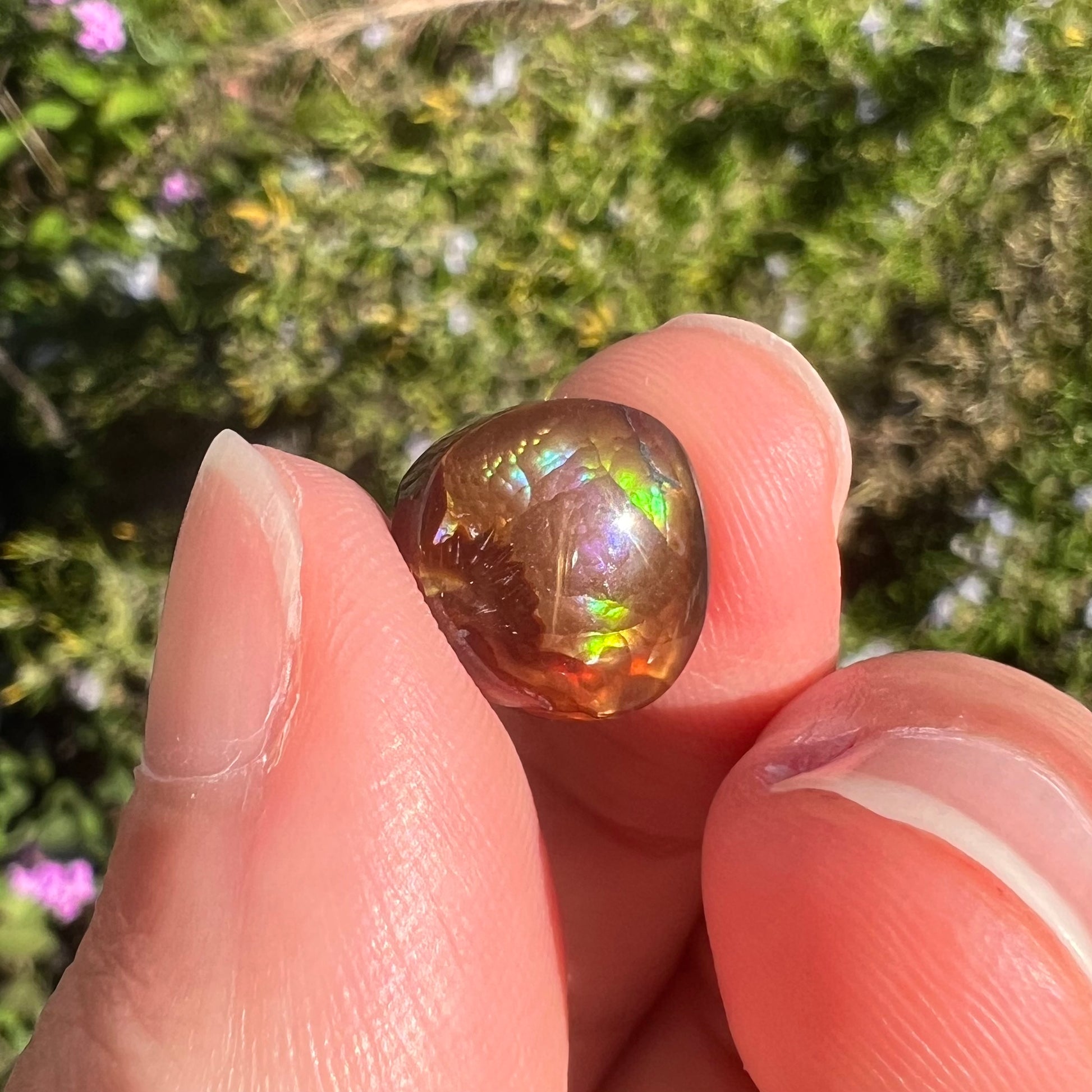A loose, round cabochon cut Mexican fire agate gemstone.  The stone has a sagenite inclusion.
