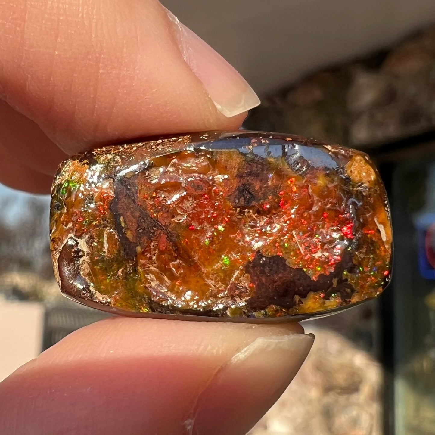 31.10ct Quilpie Boulder Opal | #E192