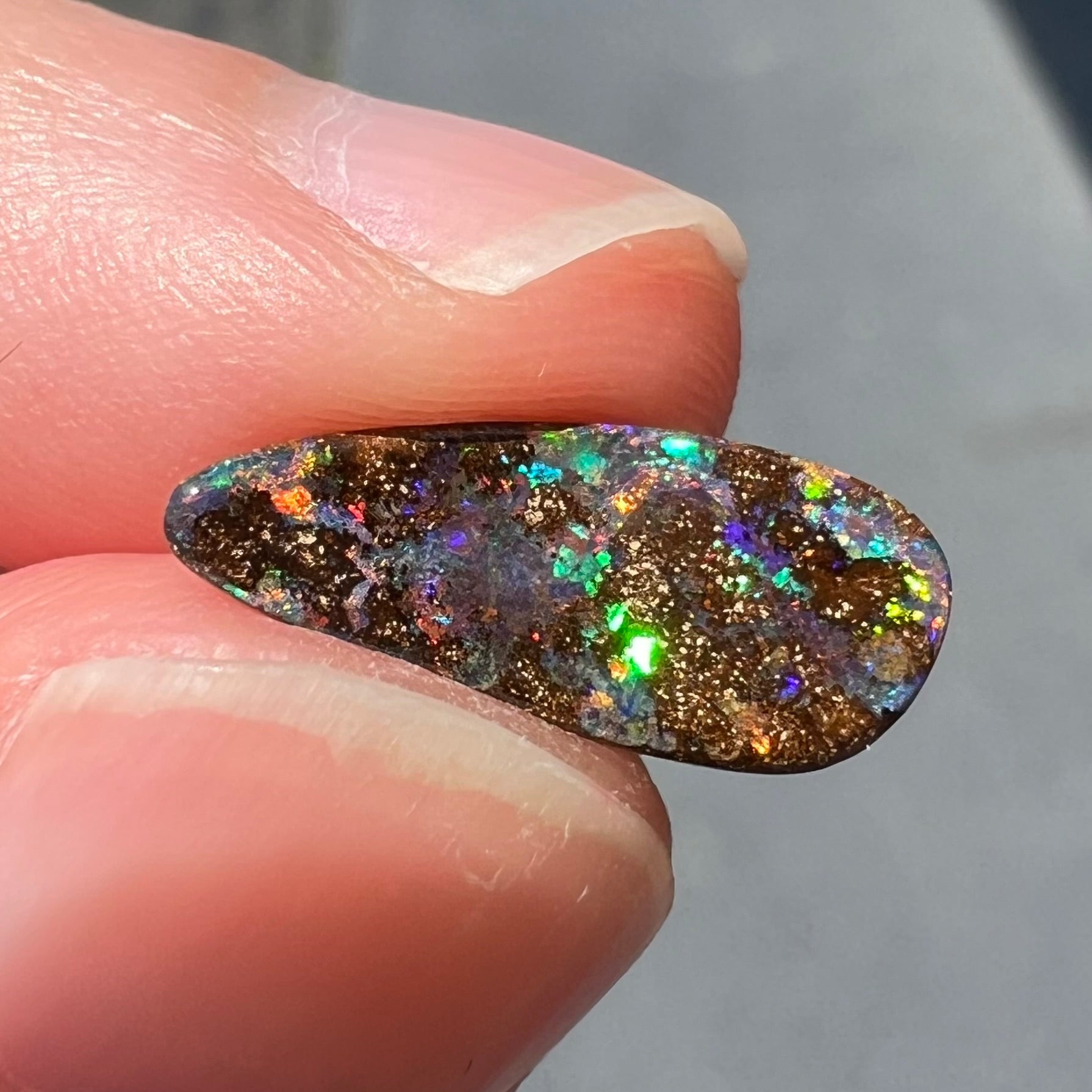 A loose, pear shaped boulder opal stone from Quilpie, Australia.  The opal shines every color of the rainbow.