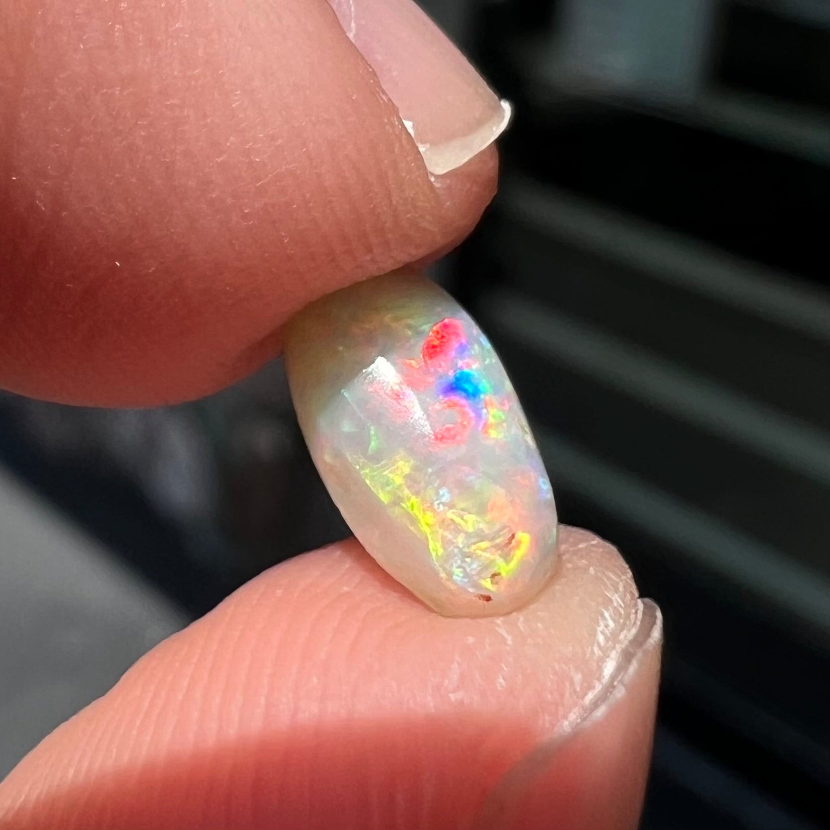 A loose, light opal from Lightning Ridge, Australia.  The opal shines a rainbow of colors.
