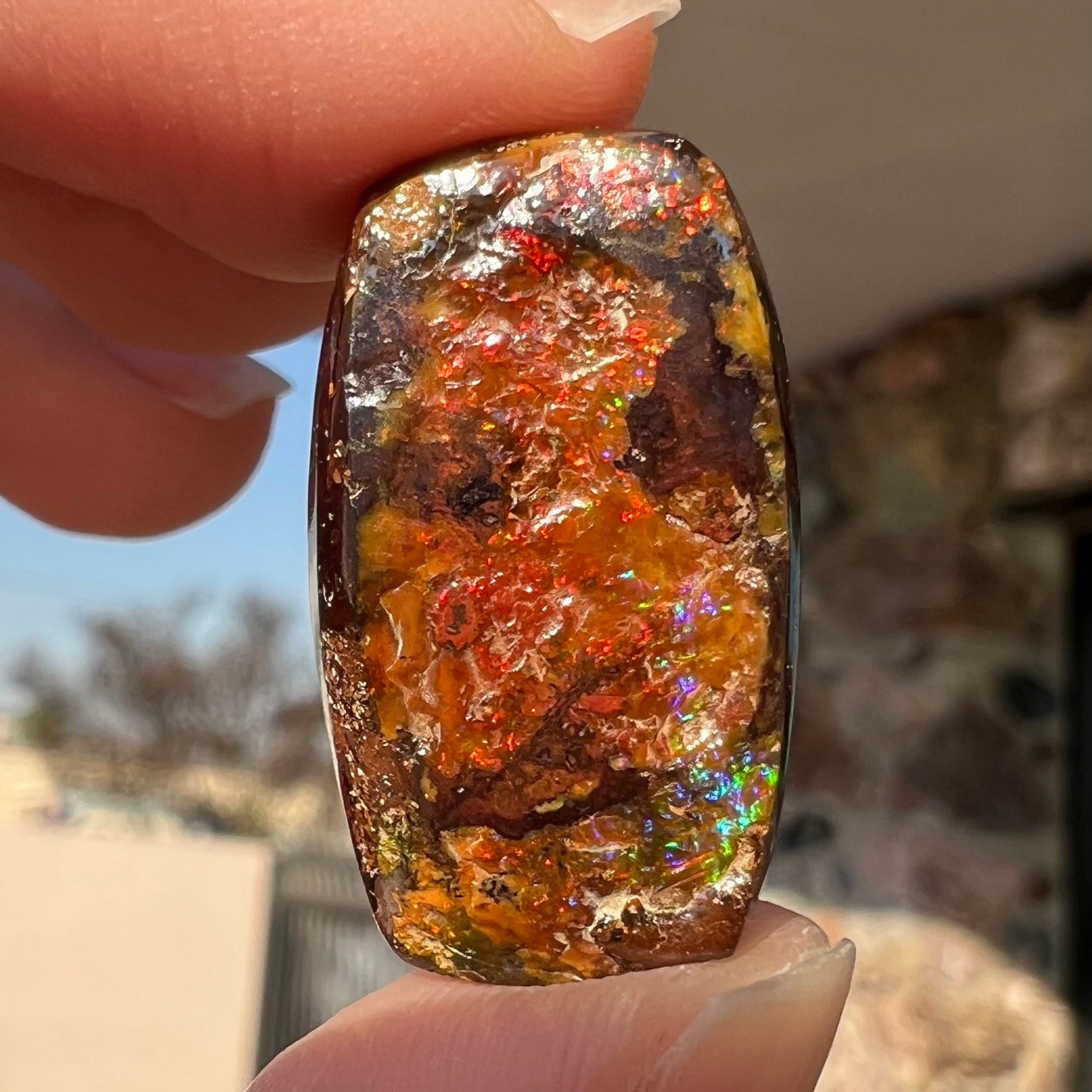 31.10ct Quilpie Boulder Opal | #E192