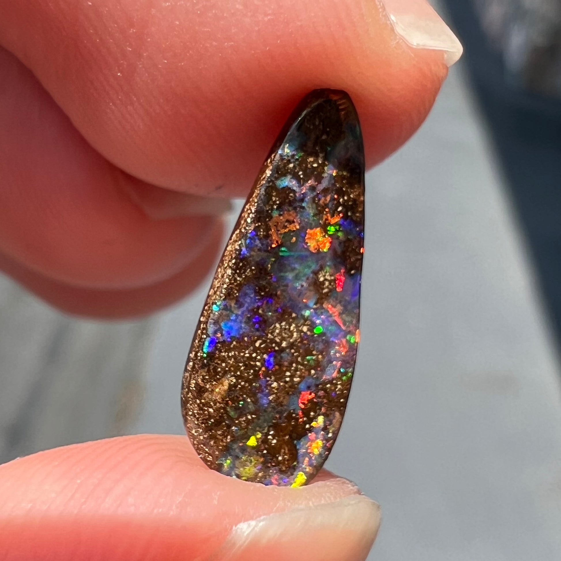 A loose, pear shaped boulder opal stone from Quilpie, Australia.  The opal shines every color of the rainbow.