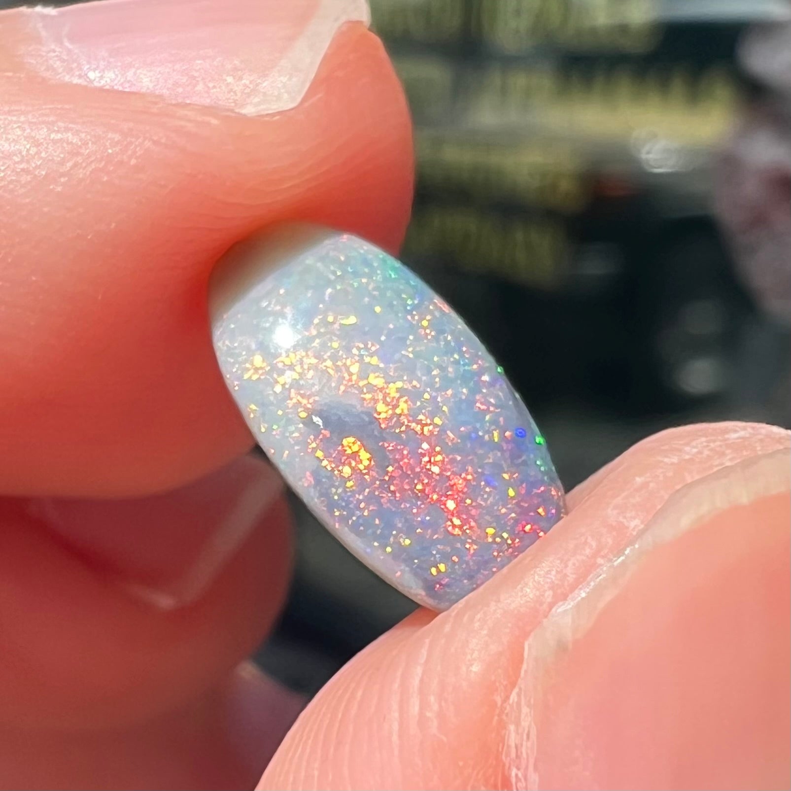 A loose, oval cabochon cut opal gemstone from Lightning Ridge, Australia.  The opal shines red and orange colors.