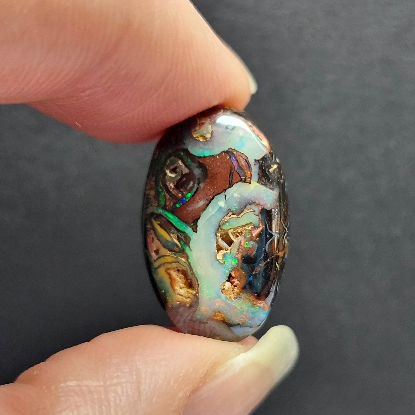 13.90ct Koroit Boulder Matrix Opal | #E262