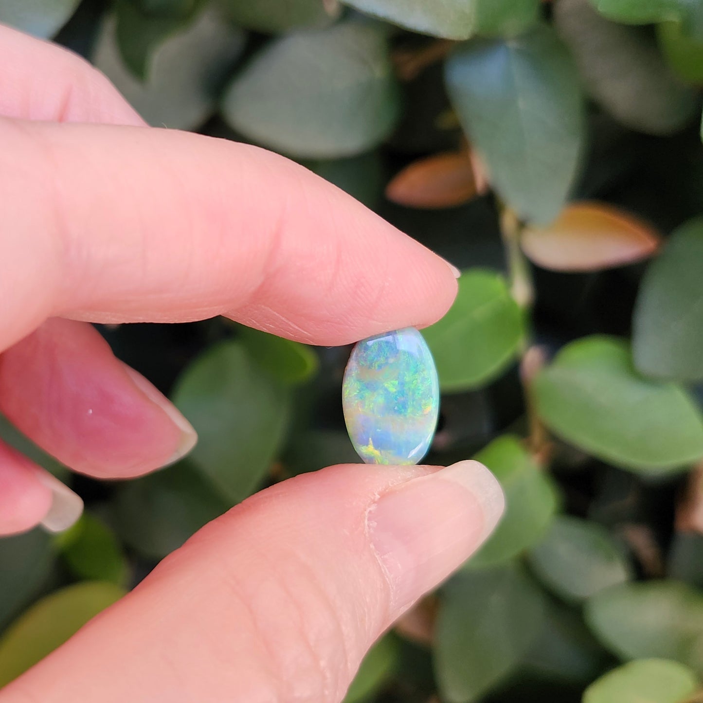 5.80ct Quilpie Boulder Opal | #E248