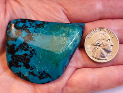 Chrysocolla #210 | Pala Region
