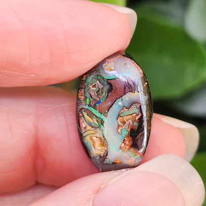 13.90ct Koroit Boulder Matrix Opal | #E262