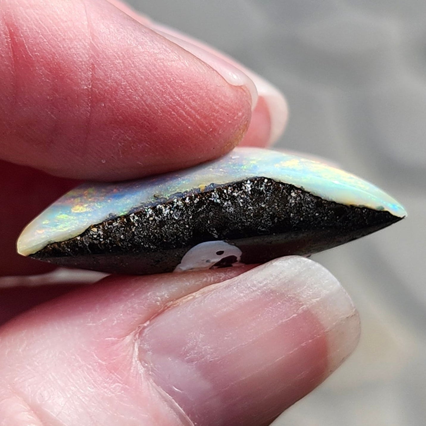 29.76ct Quilpie Boulder Opal | #E241