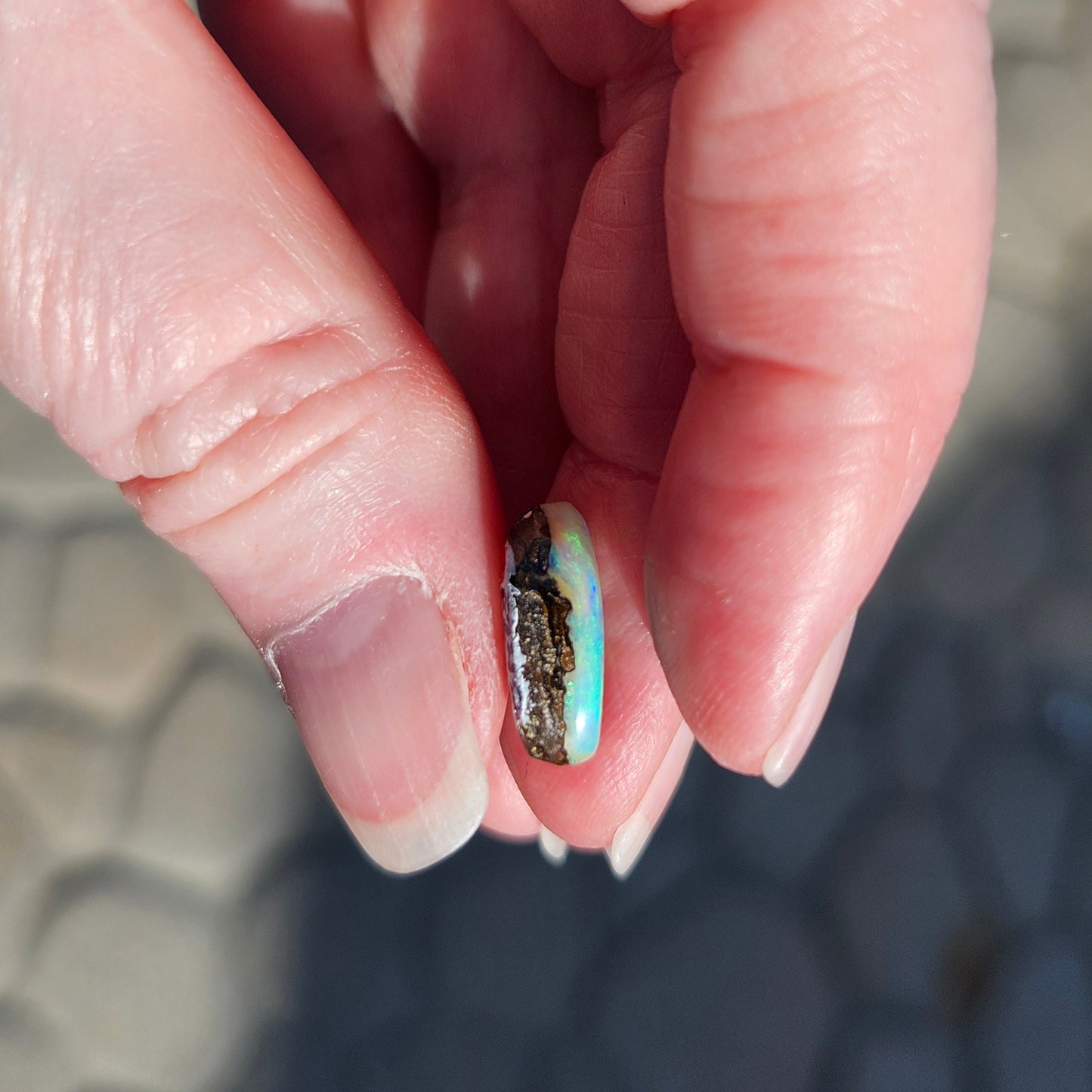 5.80ct Quilpie Boulder Opal | #E248