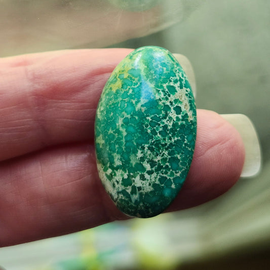 Turquoise #118 | Royston