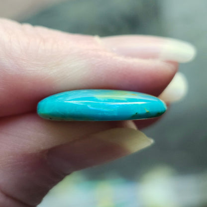 Turquoise #305 | Royston