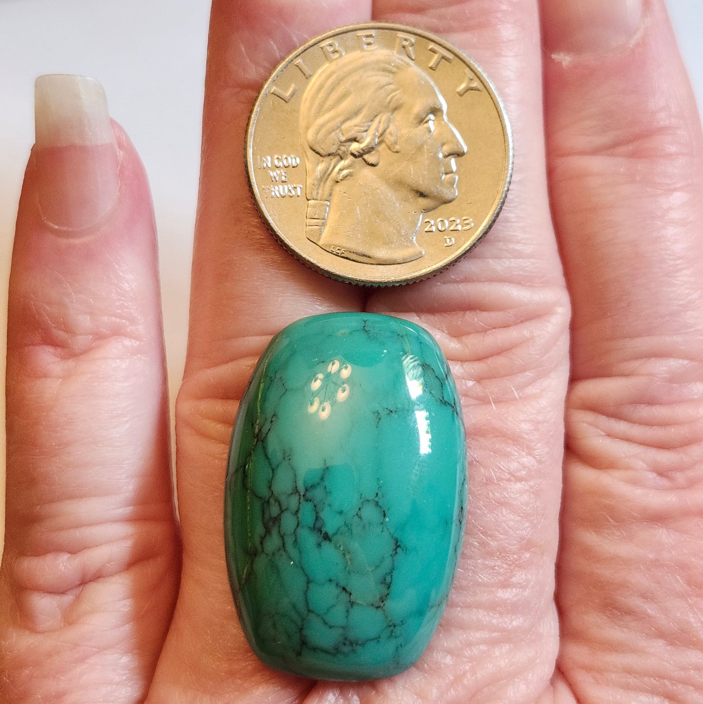 Turquoise #275 | Tyrone | Burro Mountains | Cushion Cut Cabochon