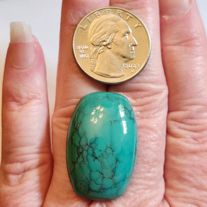 Turquoise #275 | Tyrone | Burro Mountains | Cushion Cut Cabochon