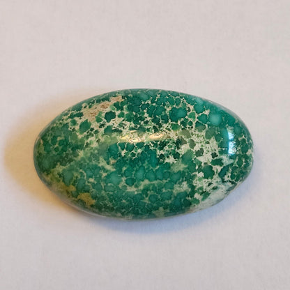 Turquoise #118 | Royston