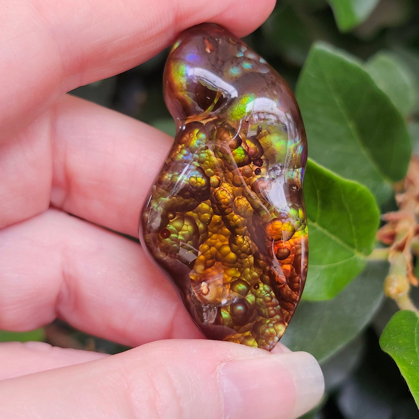 97.57ct Loose Mexican Fire Agate | Freeform Cabochon | #7