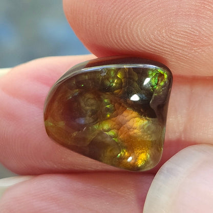 10.17ct Loose Fire Agate | Freeform Cabochon