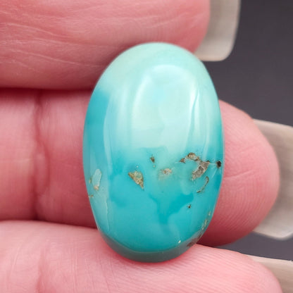 11.66ct Pilot Mountain Turquoise | Oval Cabochon | #522