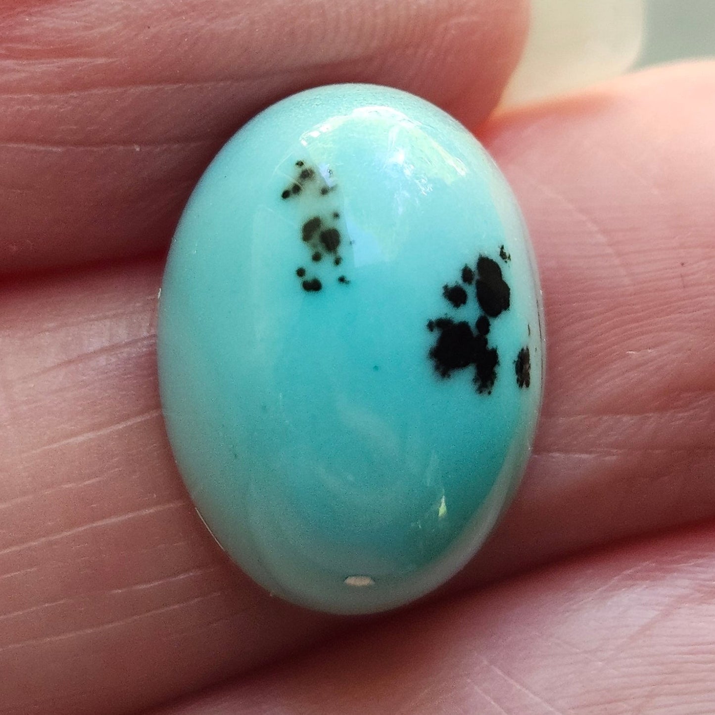 Turquoise #309 | Kingman
