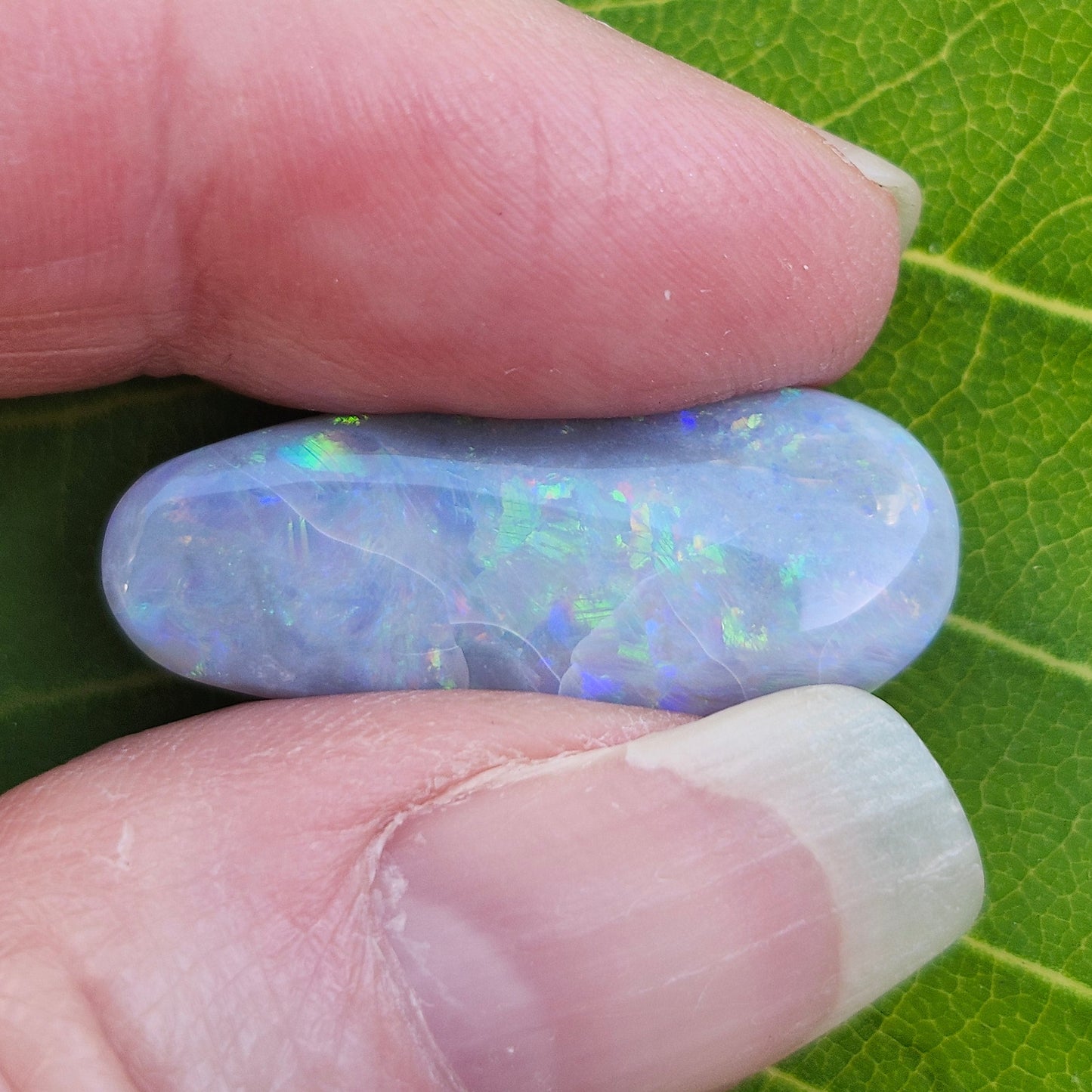 8.96ct Lightning Ridge Australian Opal | #E272