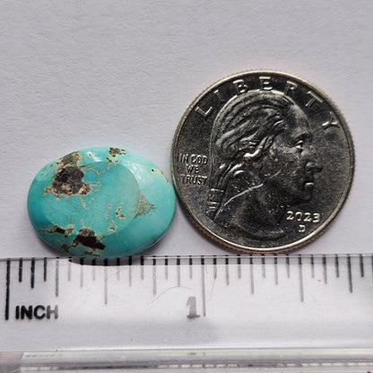 Turquoise #304 | Kingman | Oval Cabochon Cut | Preformed