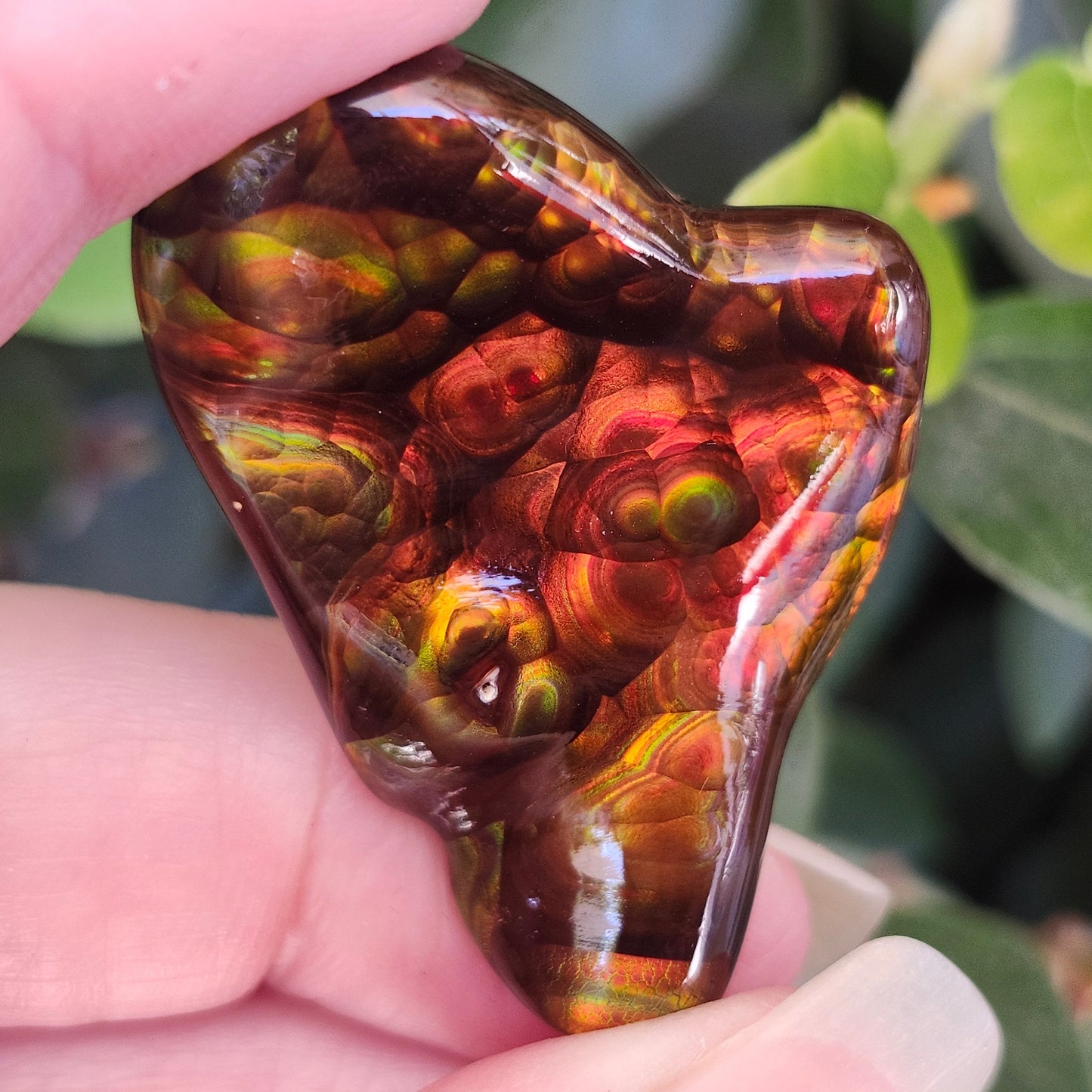 52.20ct Loose Slaughter Mountain Fire Agate | Freeform Cabochon | #8
