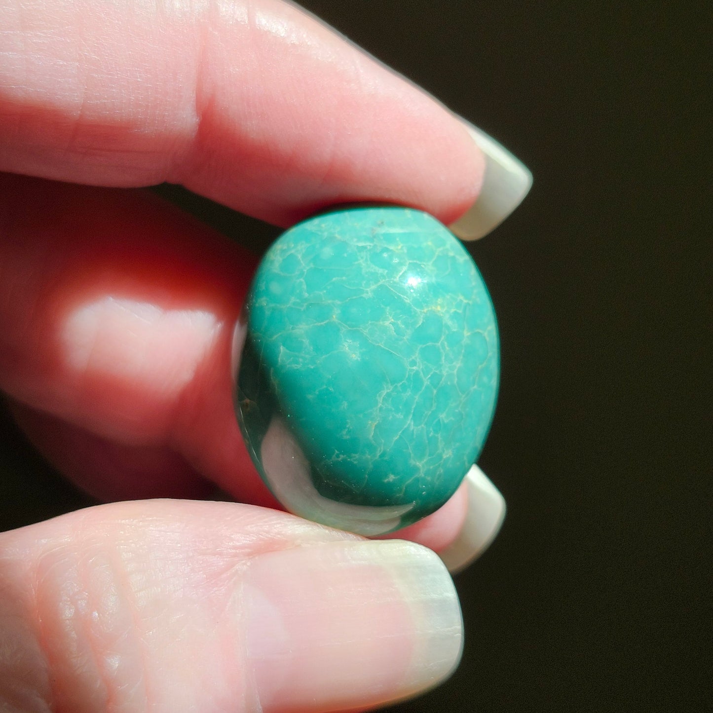 Turquoise #252 | Royston | Oval Cabochon Cut